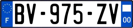 BV-975-ZV