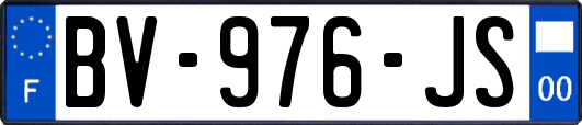 BV-976-JS