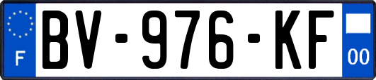 BV-976-KF