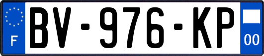 BV-976-KP