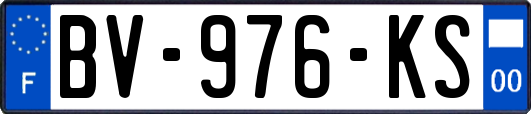 BV-976-KS
