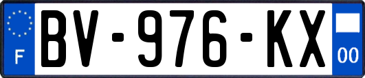 BV-976-KX