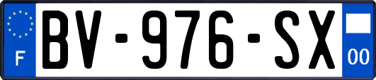 BV-976-SX