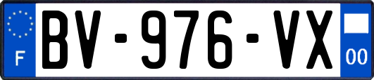 BV-976-VX