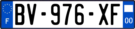 BV-976-XF