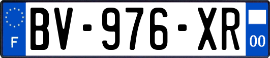 BV-976-XR