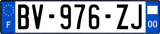 BV-976-ZJ