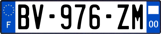 BV-976-ZM