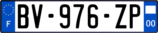 BV-976-ZP