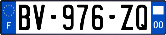 BV-976-ZQ