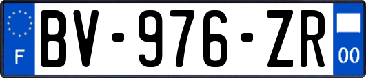 BV-976-ZR