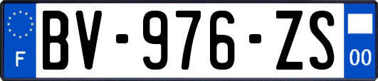 BV-976-ZS