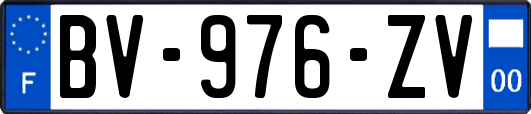 BV-976-ZV