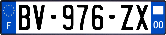 BV-976-ZX