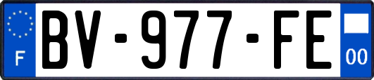 BV-977-FE