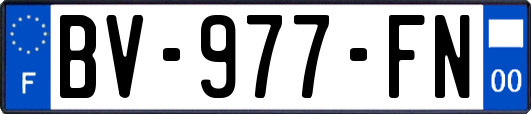 BV-977-FN