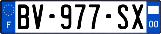 BV-977-SX