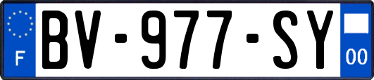 BV-977-SY