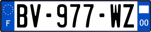 BV-977-WZ