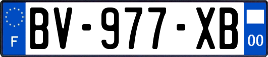 BV-977-XB
