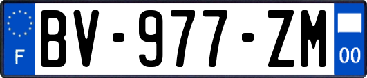 BV-977-ZM