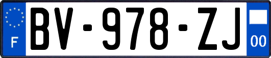 BV-978-ZJ