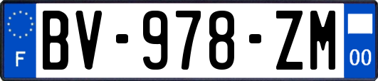 BV-978-ZM