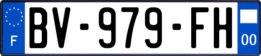 BV-979-FH