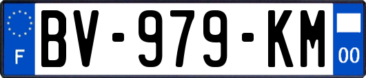 BV-979-KM