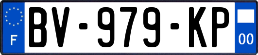 BV-979-KP