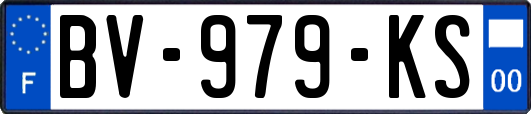 BV-979-KS