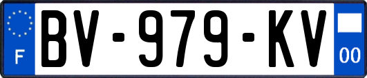 BV-979-KV