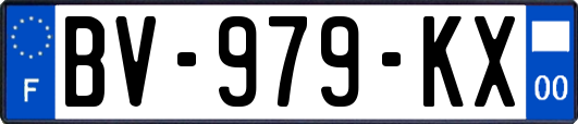 BV-979-KX
