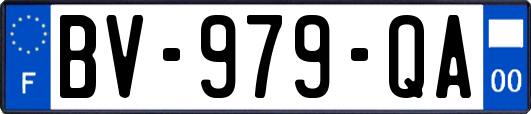 BV-979-QA