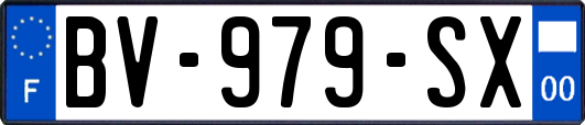 BV-979-SX