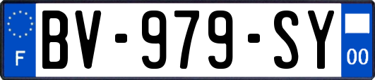 BV-979-SY