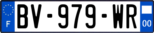 BV-979-WR