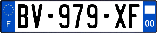 BV-979-XF