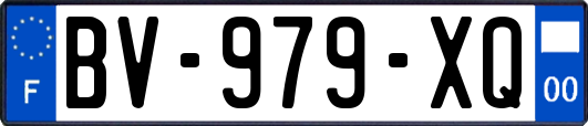 BV-979-XQ