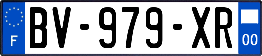 BV-979-XR