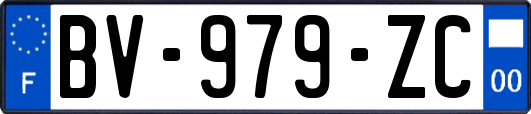 BV-979-ZC