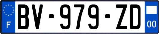 BV-979-ZD