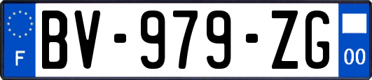 BV-979-ZG