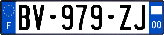 BV-979-ZJ