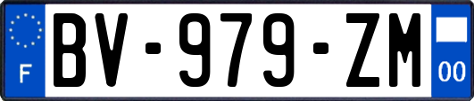 BV-979-ZM