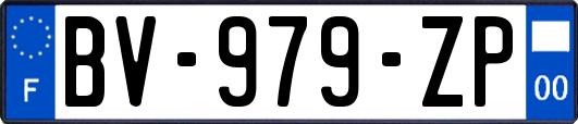 BV-979-ZP