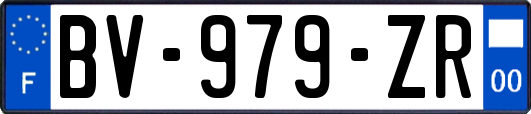 BV-979-ZR