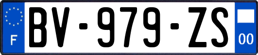 BV-979-ZS