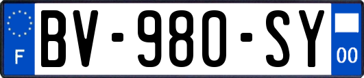 BV-980-SY