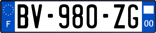 BV-980-ZG